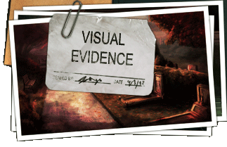 Visual Evidence